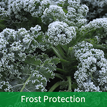 frost protection