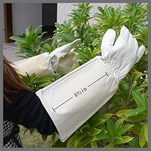 thornproof gardening gloves