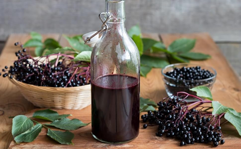 elderberry is a superfood with amazing beneficial properties