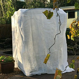 Plant Cover