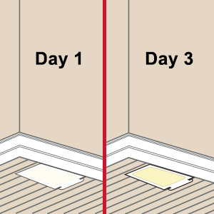 Bulk Mouse & Insect Boards