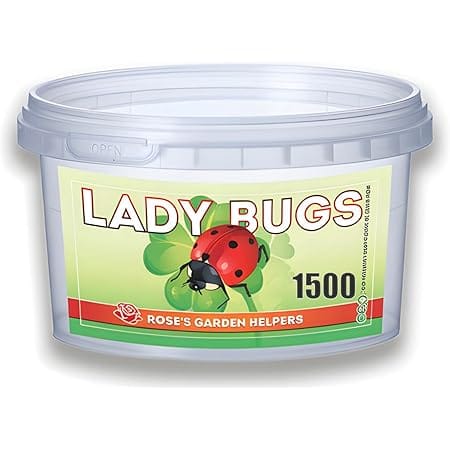 1500 Live Ladybugs - Hippodamia Convergens - Guaranteed Live Deliver - Plastic Container for Moth (1500)