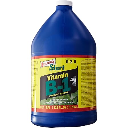 Liquinox 0-2-0 Start with Vitamin B-1, 1-Gallon