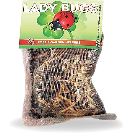 Pre-Fed Ladybugs | Rose's Garden Helpers| Hippodamia Convergens | Mesh Bag (1500)