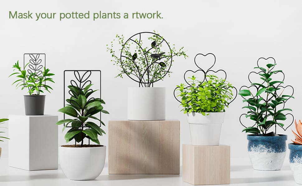 plant trellis