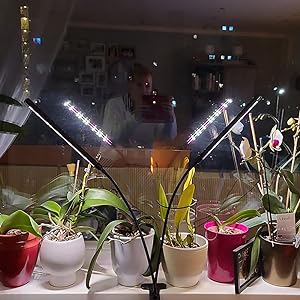 grow lights for indoor plants