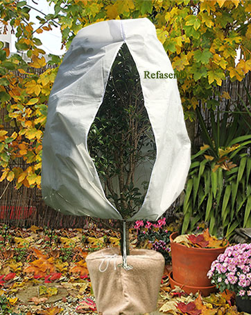 Refasen plant cover