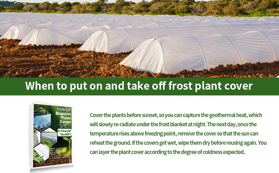 Plant Covers Freeze Protection