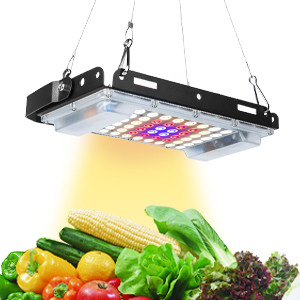 grow light